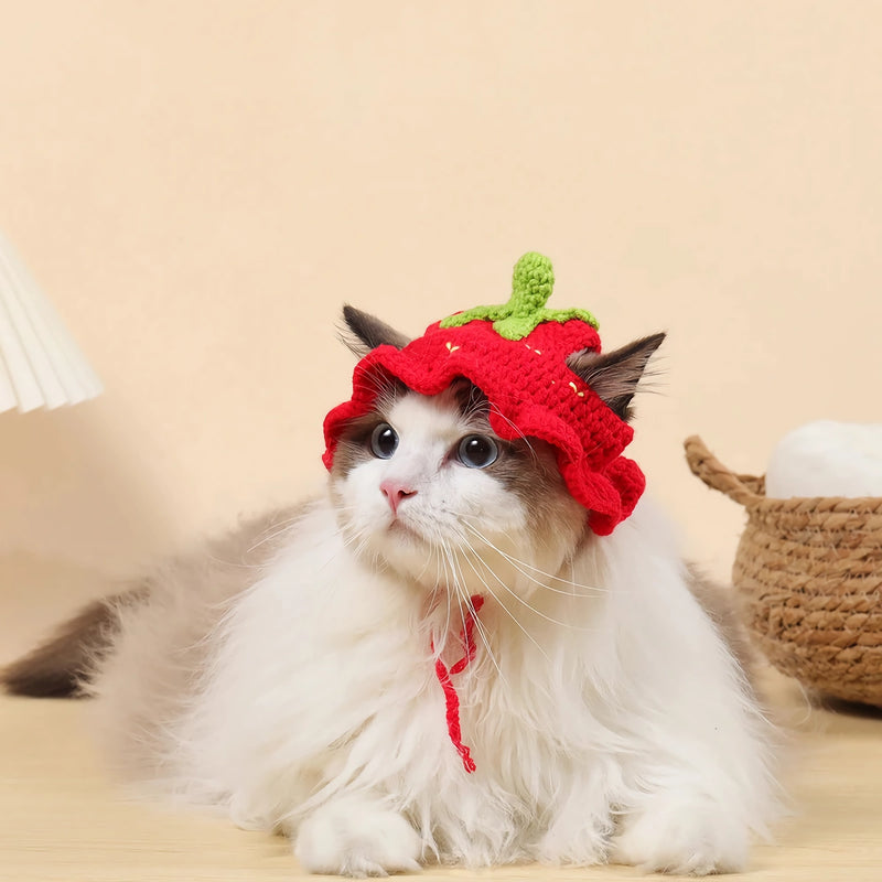 knitted hat for cats, view 7 - MRSLM