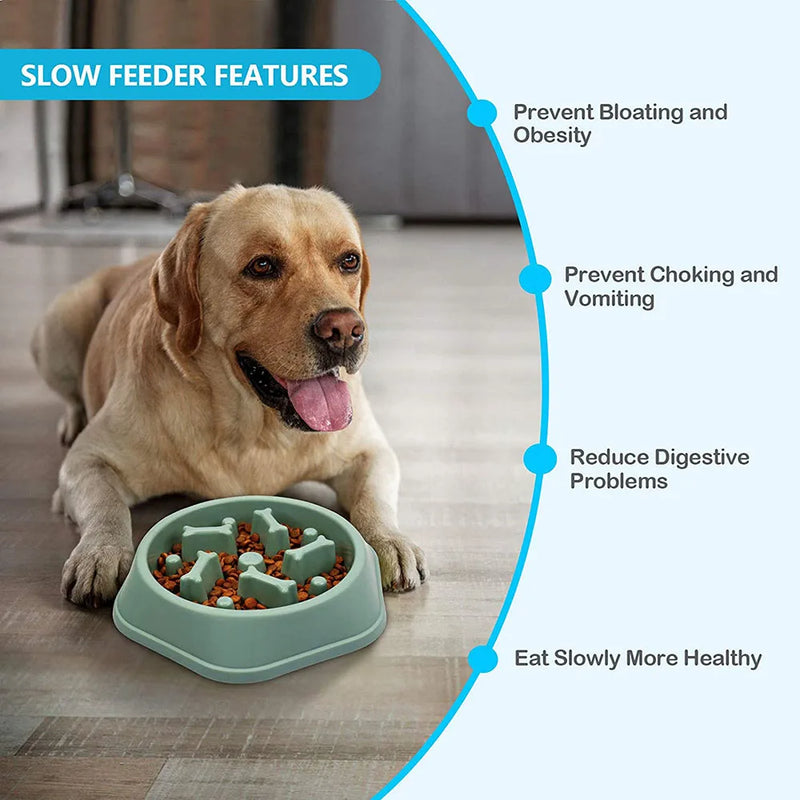 slow feeder dog bowl, view 14 - MRSLM