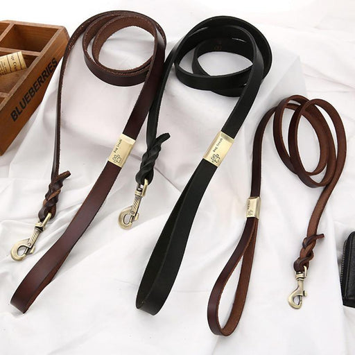 Heavy-duty leather dog leash - MRSLM