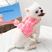 floral dog harness and leash set, view 2 - MRSLM