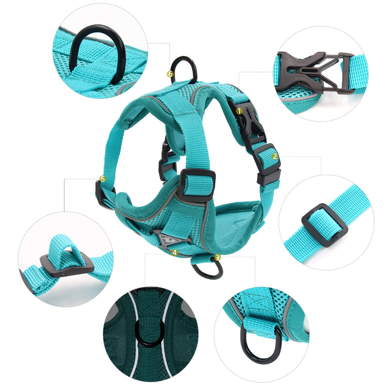 adjustable mesh cat harness and leash set, view 29 - MRSLM