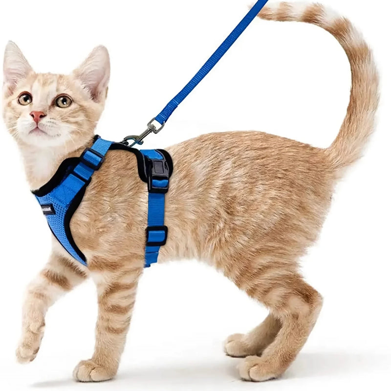 cat harness and leash, view 10 - MRSLM