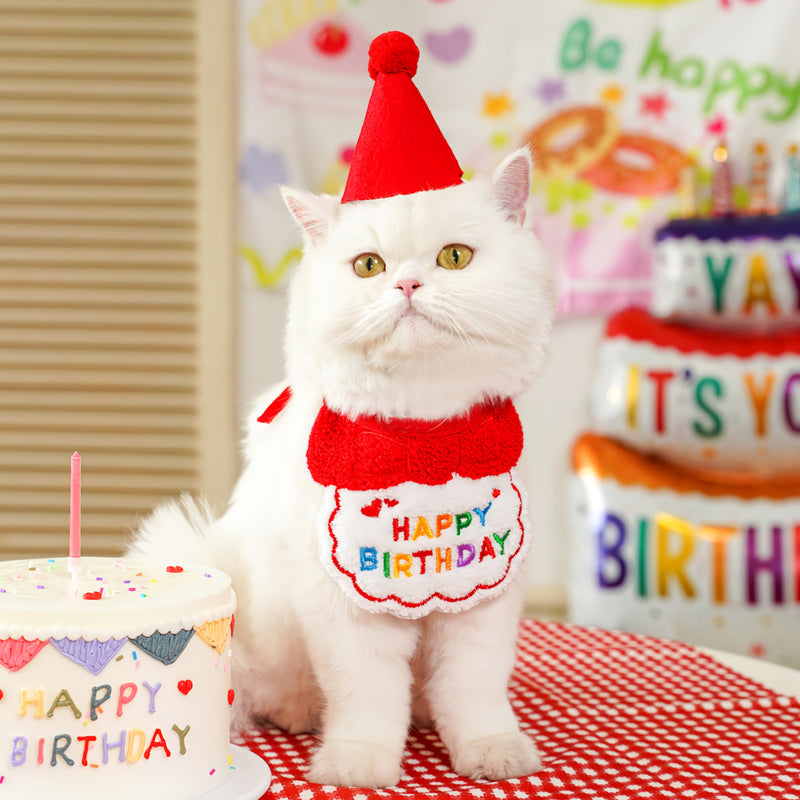 pet birthday bandana and hat set, view 3 - MRSLM