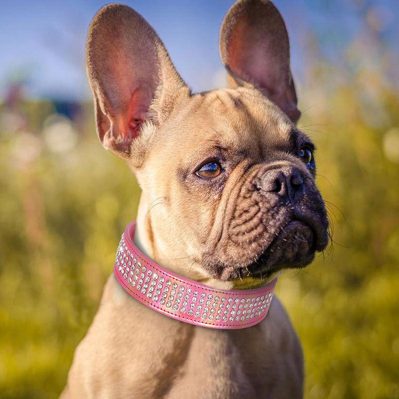 bling rhinestone dog collar - MRSLM