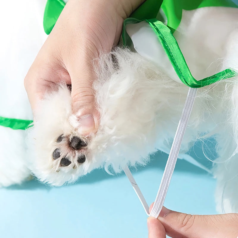 lovely print dog raincoat, view 6 - MRSLM