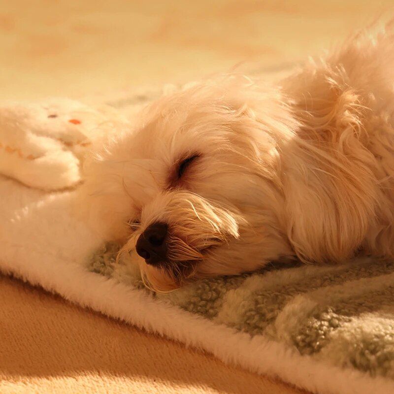 winter dog sleeping mat, view 5 - MRSLM