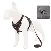 no-pull dog harness and leash set, view 10 - MRSLM