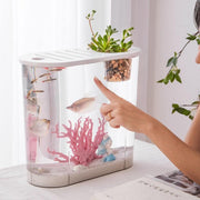Transparent plastic goldfish tank - MRSLM