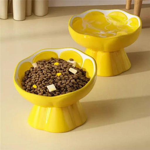 raised ceramic pet bowl - MRSLM
