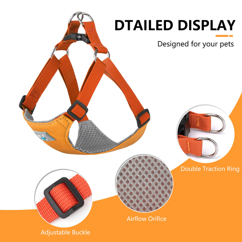 adjustable nylon dog harness and leash set, view 9 - MRSLM