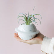 Mini planet shape ceramic succulent flower pot, view 10 - MRSLM