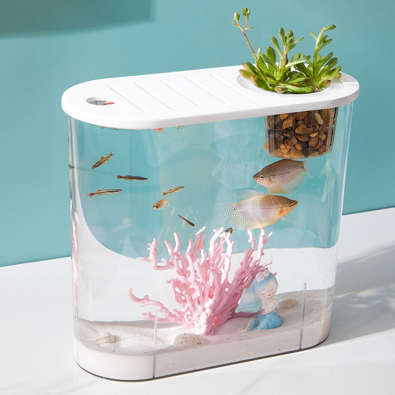 Transparent plastic goldfish tank, view 8 - MRSLM
