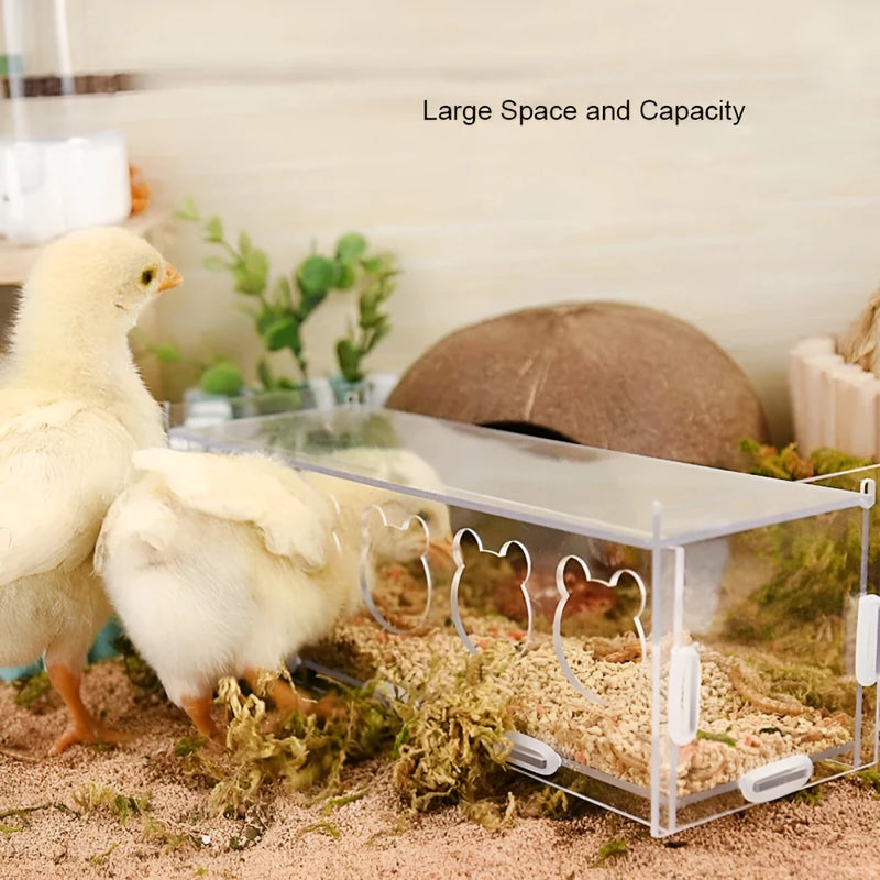 acrylic bird feeder with cuttlebone holder, view 6 - MRSLM