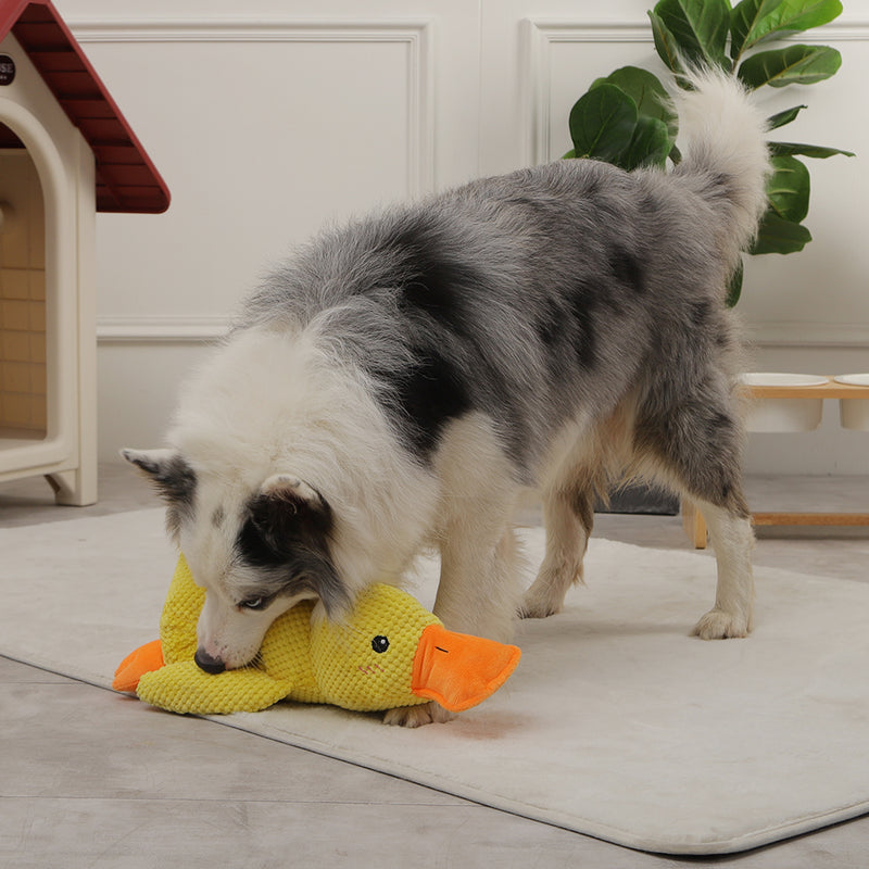 plush duck dog toy with squeaker, view 4 - MRSLM