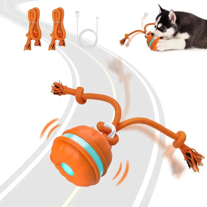 motion-activated rolling dog ball, view 3 - MRSLM