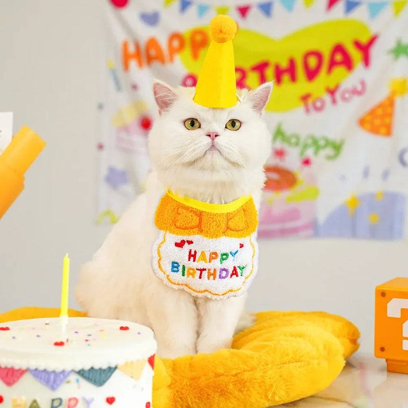 pet birthday bandana and hat set, view 5 - MRSLM
