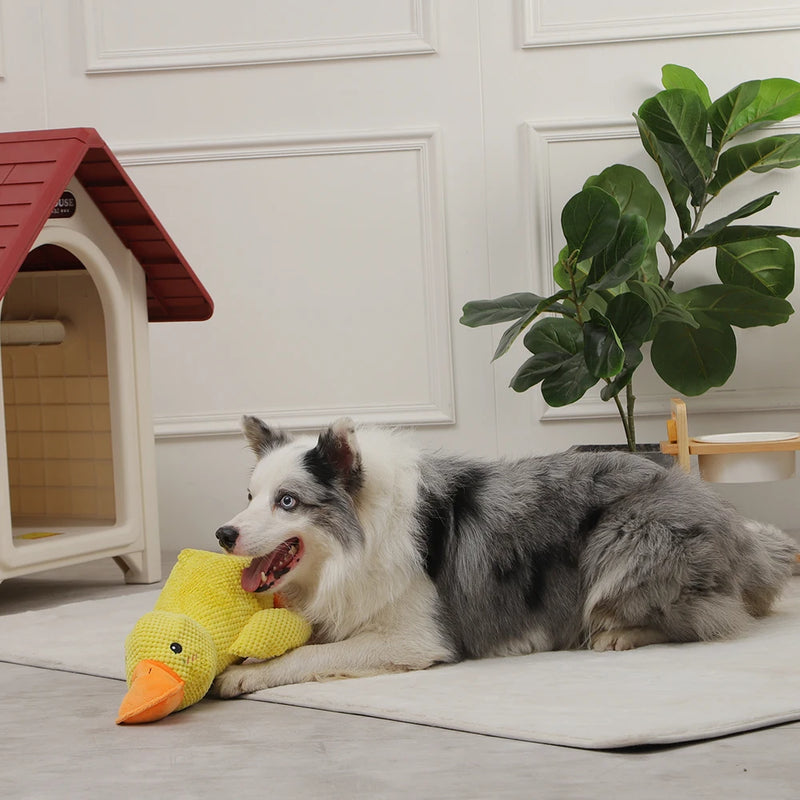 plush duck dog toy with squeaker, view 5 - MRSLM