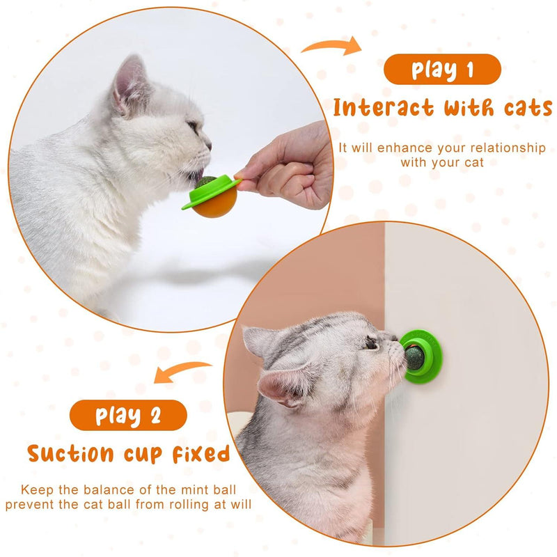 rotating cat grass ball toy, view 7 - MRSLM