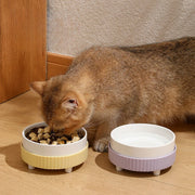 ceramic cat and dog bowl, view 9 - MRSLM