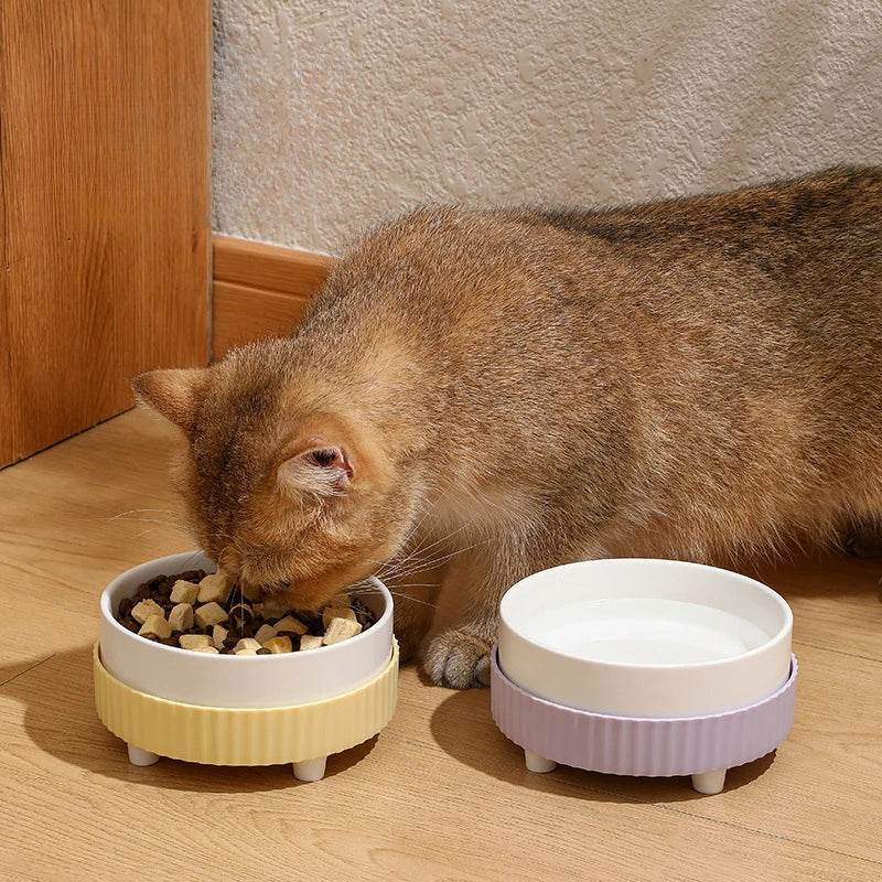 ceramic cat and dog bowl, view 9 - MRSLM