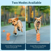 rolling ball dog toy, view 9 - MRSLM