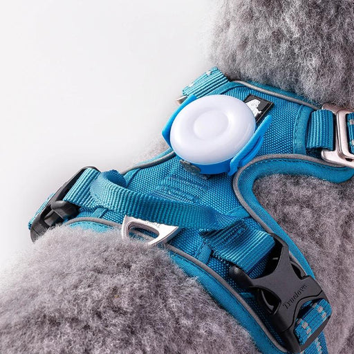usb rechargeable led dog light - MRSLM