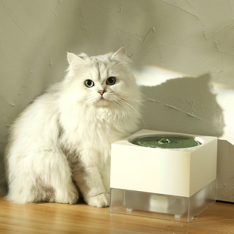 cat water fountain, view 4 - MRSLM