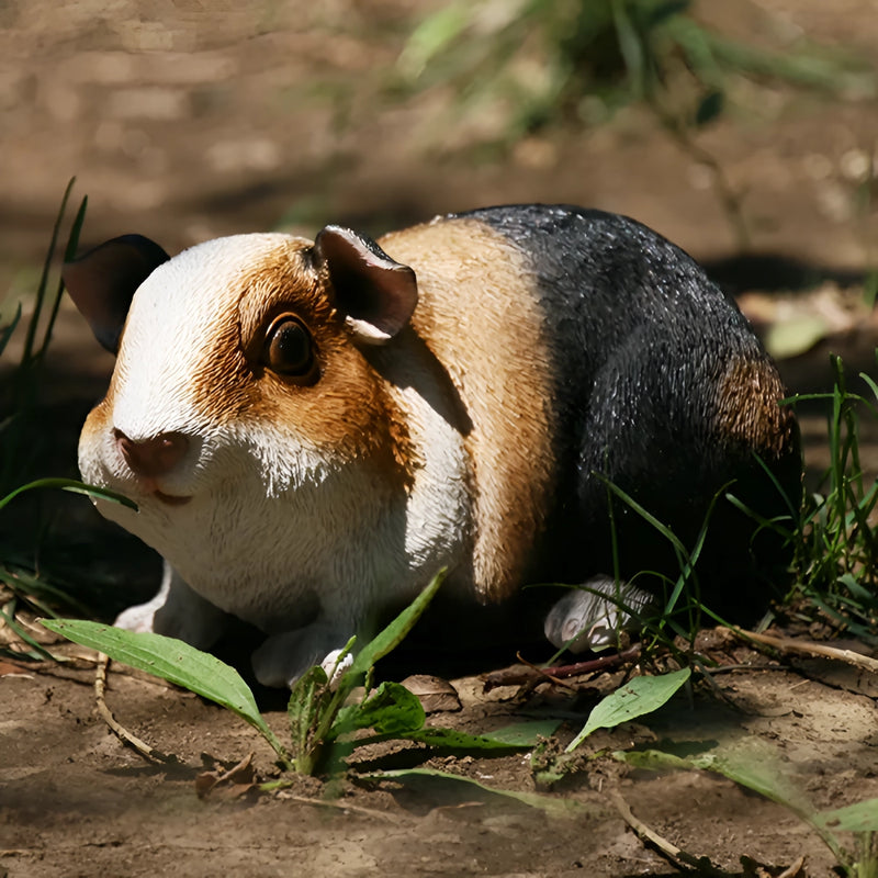 Guinea pig resin statue, view 5 - MRSLM