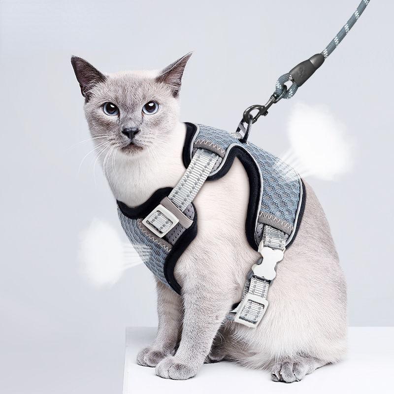 reflective cat harness and leash set - MRSLM