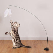 interactive cat toy - MRSLM