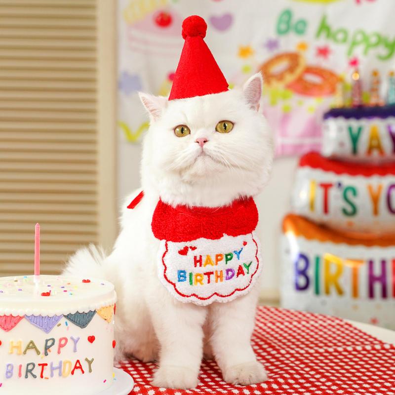 pet birthday bandana and hat set - MRSLM