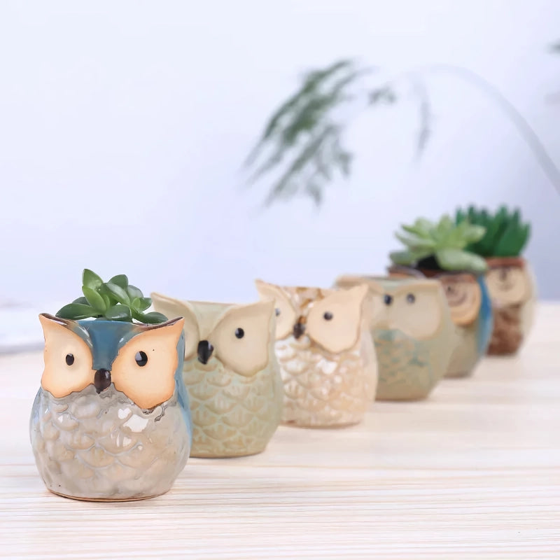Mini owl ceramic planter, view 9 - MRSLM