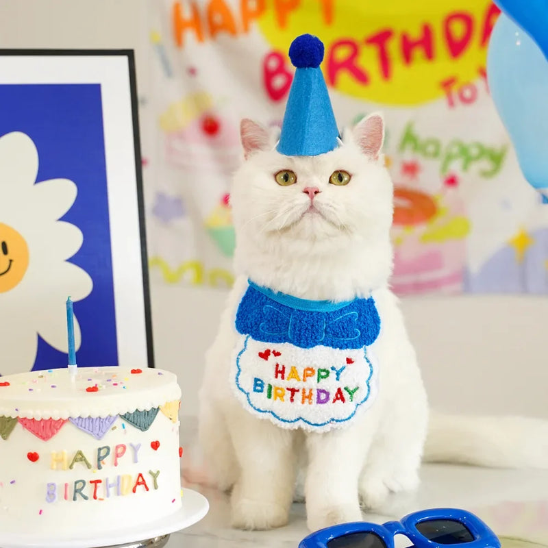 pet birthday bandana and hat set, view 4 - MRSLM