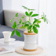 mini hydroponic flower pot, view 8 - MRSLM