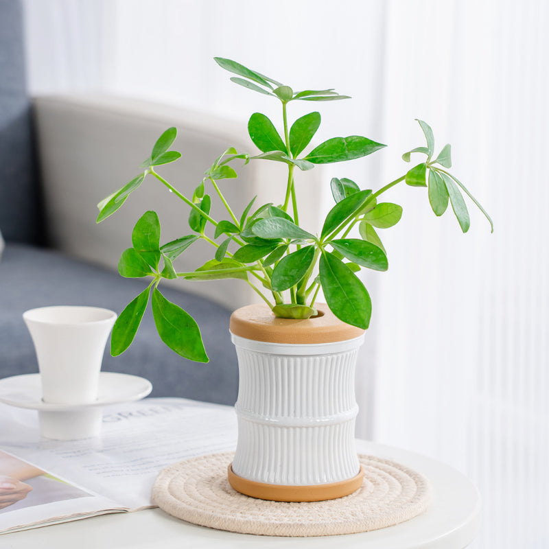 mini hydroponic flower pot, view 8 - MRSLM