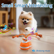 motion-activated rolling dog ball, view 7 - MRSLM