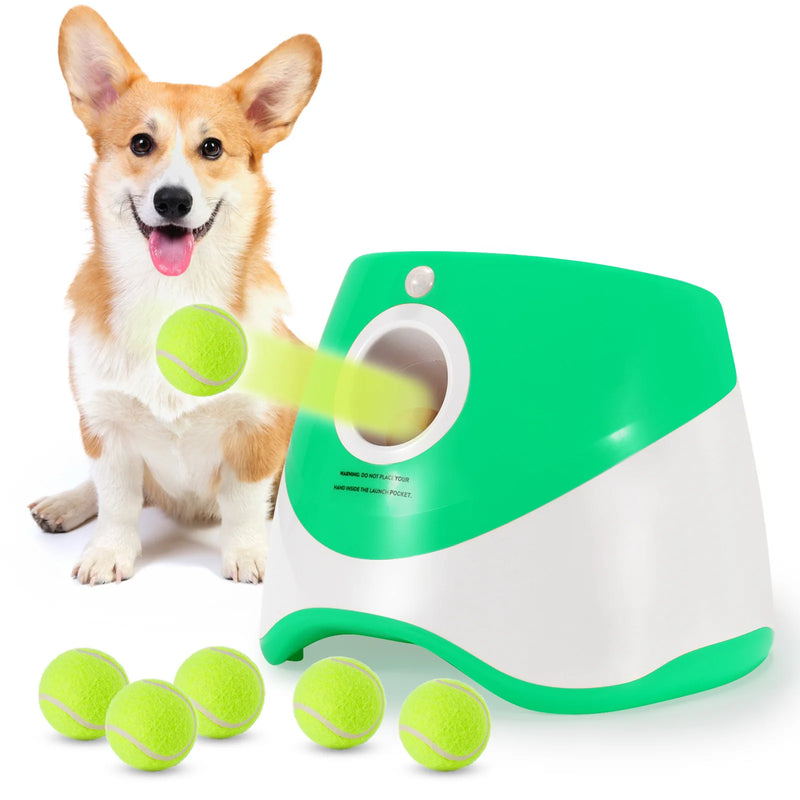 Compact automatic dog tennis ball launcher - MRSLM