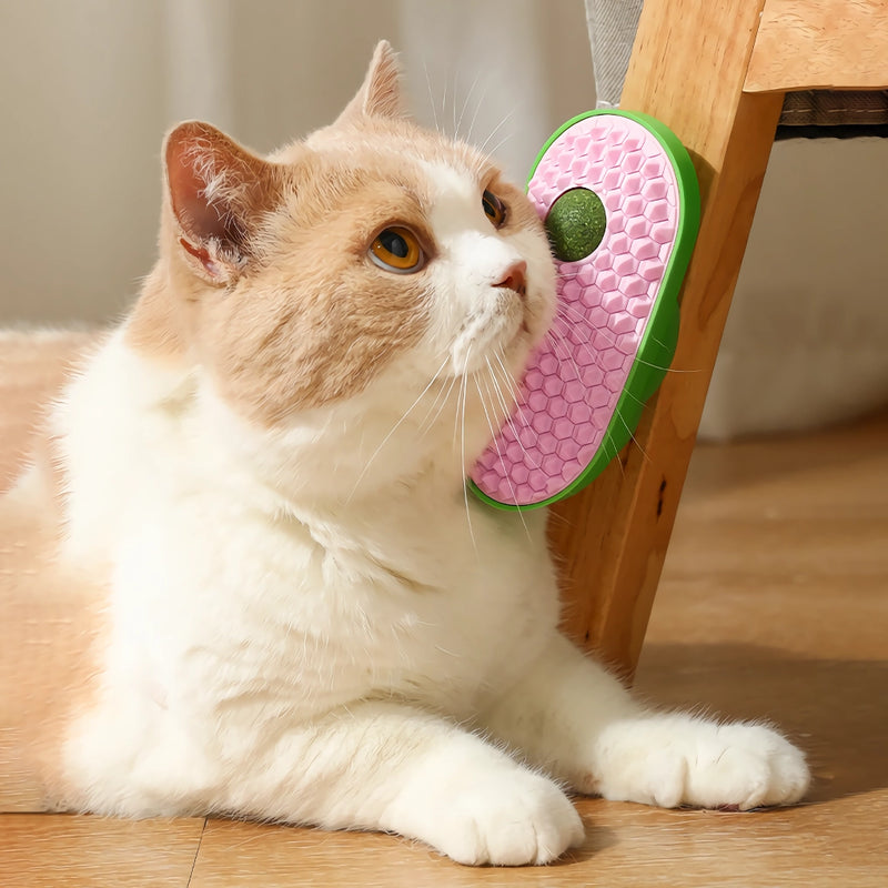 cat grooming brush with catnip, view 7 - MRSLM