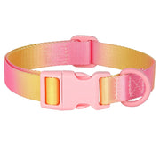 colorful print nylon dog collar, view 3 - MRSLM