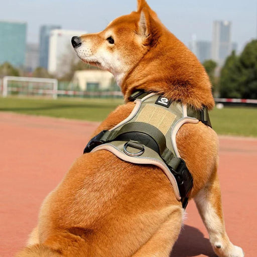 adjustable reflective dog harness with leash - MRSLM