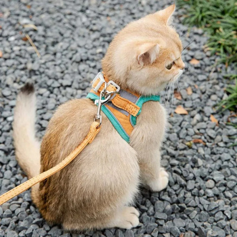 comfortable cat and dog harness leash set, view 5 - MRSLM