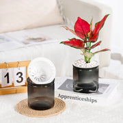 transparent self-watering succulent planter, view 5 - MRSLM