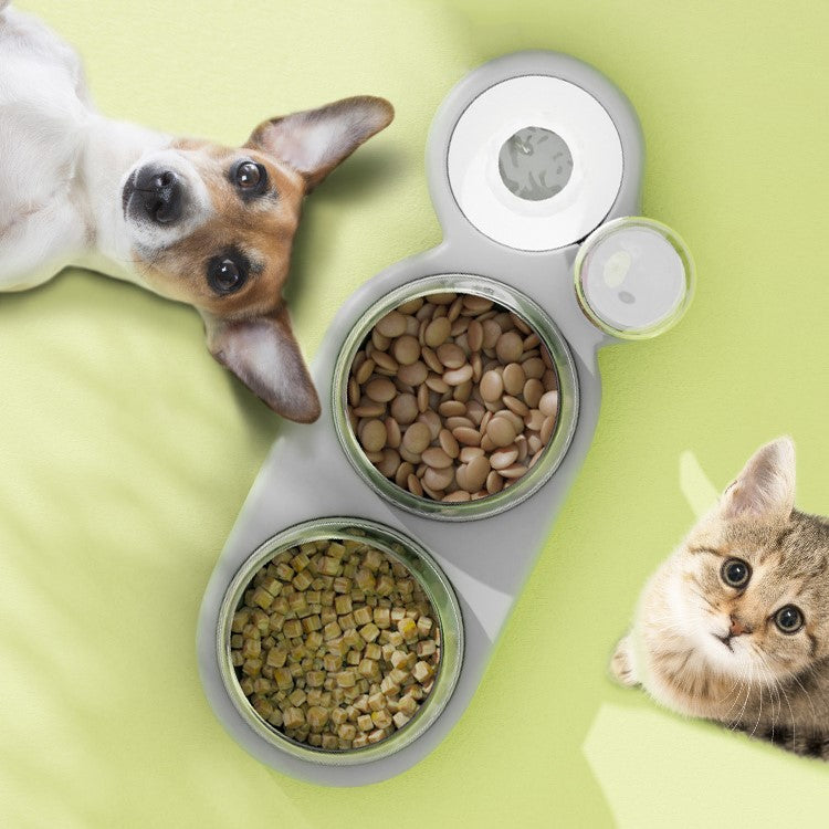 pet feeder with tilted double bowls, view 10 - MRSLM