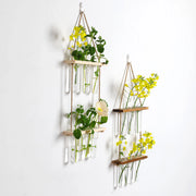wooden hydroponic wall vase, view 4 - MRSLM
