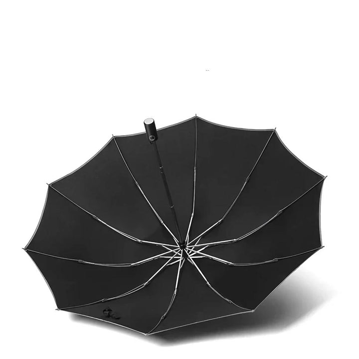 Auto-Open Reverse Folding Umbrella