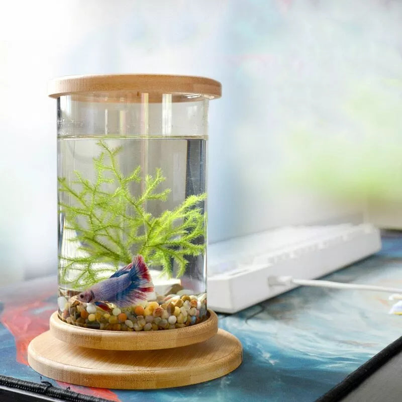 rotatable mini fish tank, view 6 - MRSLM