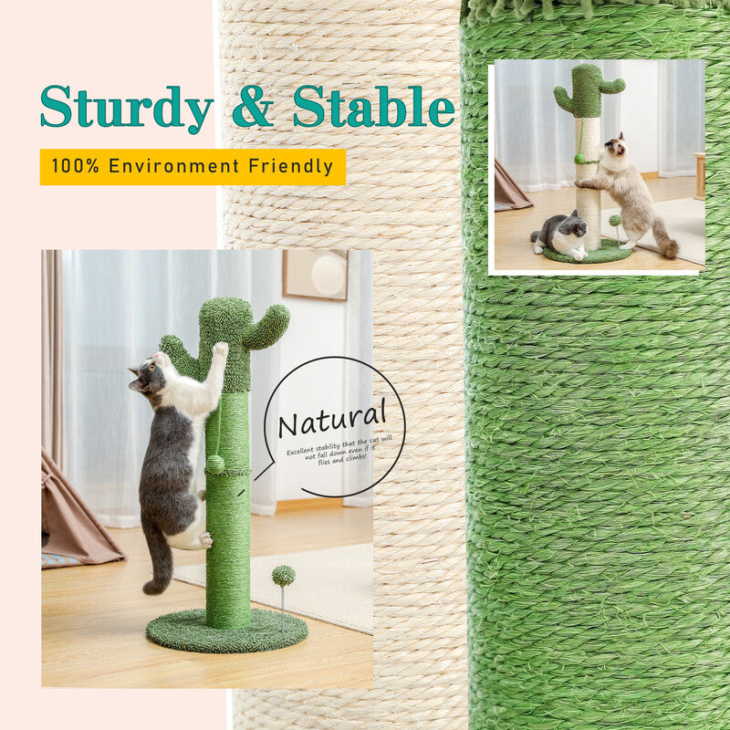 cactus cat scratching post, view 5 - MRSLM