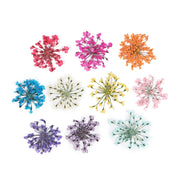 3d dried flower nail art decorations, view 14 - MRSLM