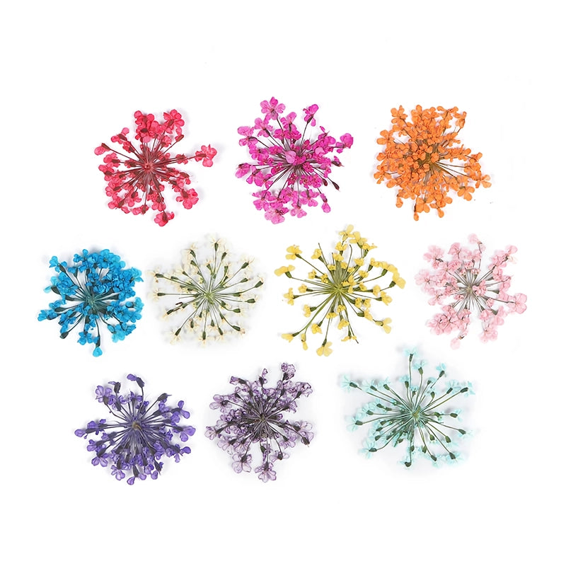 3d dried flower nail art decorations, view 14 - MRSLM