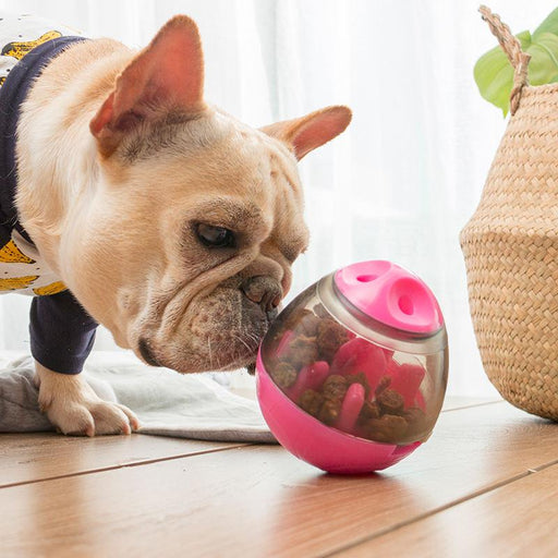 interactive pet food ball - MRSLM